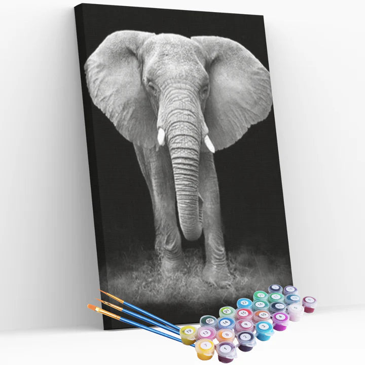 Peinture par numéros - Éléphant Noir et Blanc